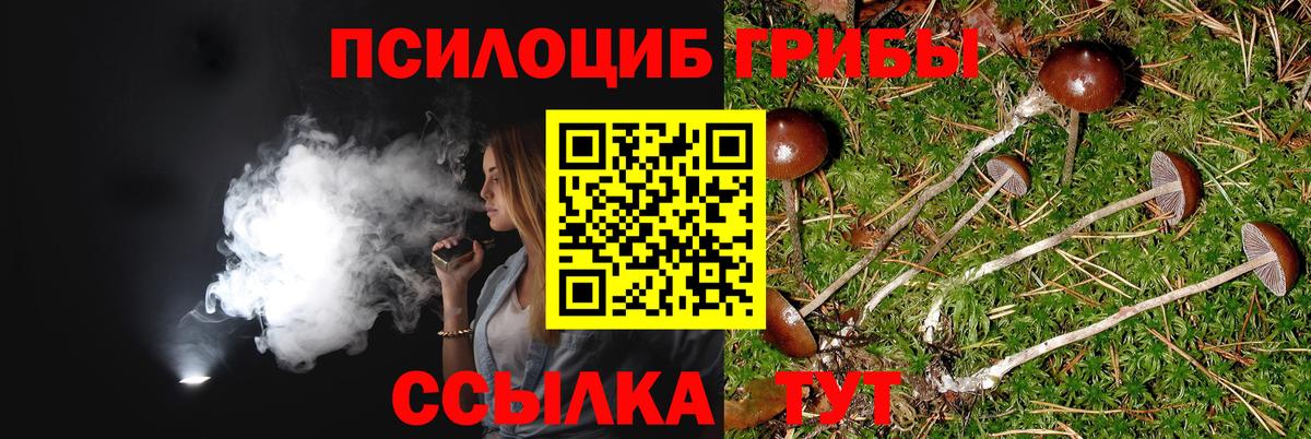 Псилоцибиновые грибы Cubensis  Галлюциногенные грибы MAGIC MUSHROOMS  закладка  Вход с VPN  Новоалтайск 