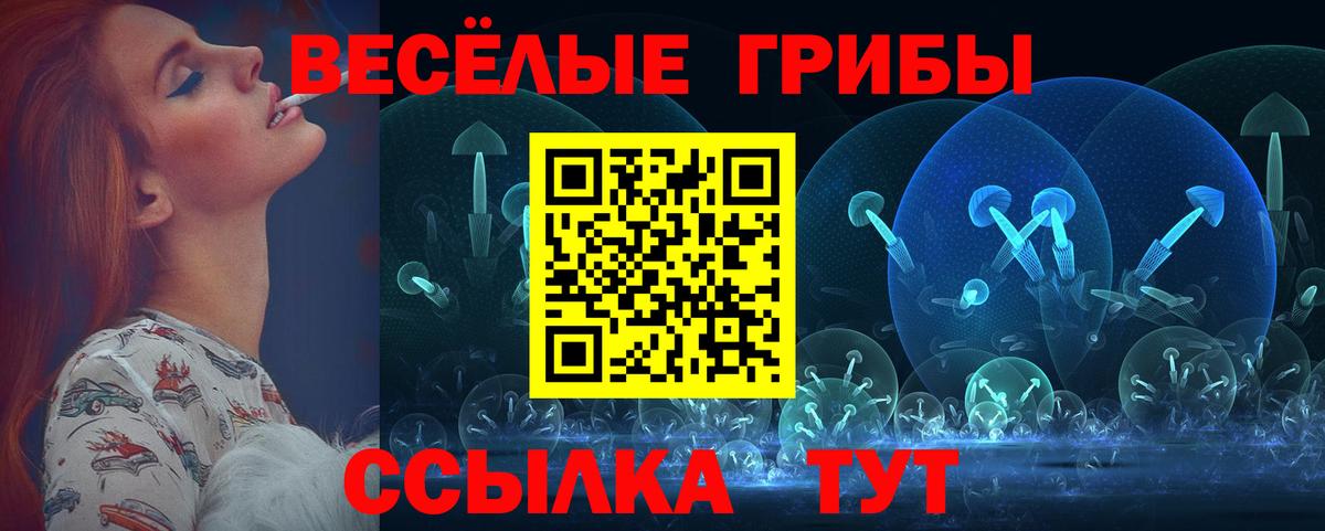Псилоцибиновые грибы мухоморы Новоалтайск
