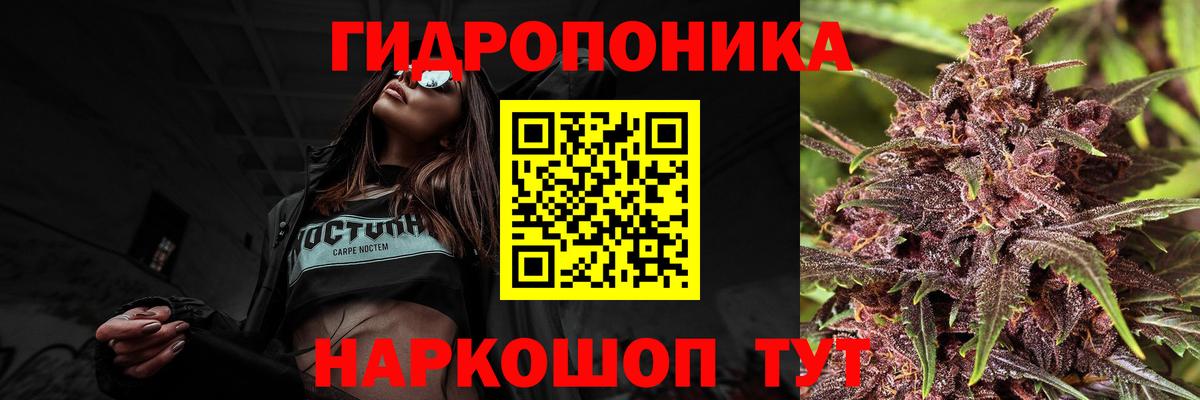 Шишки марихуана семена Новоалтайск